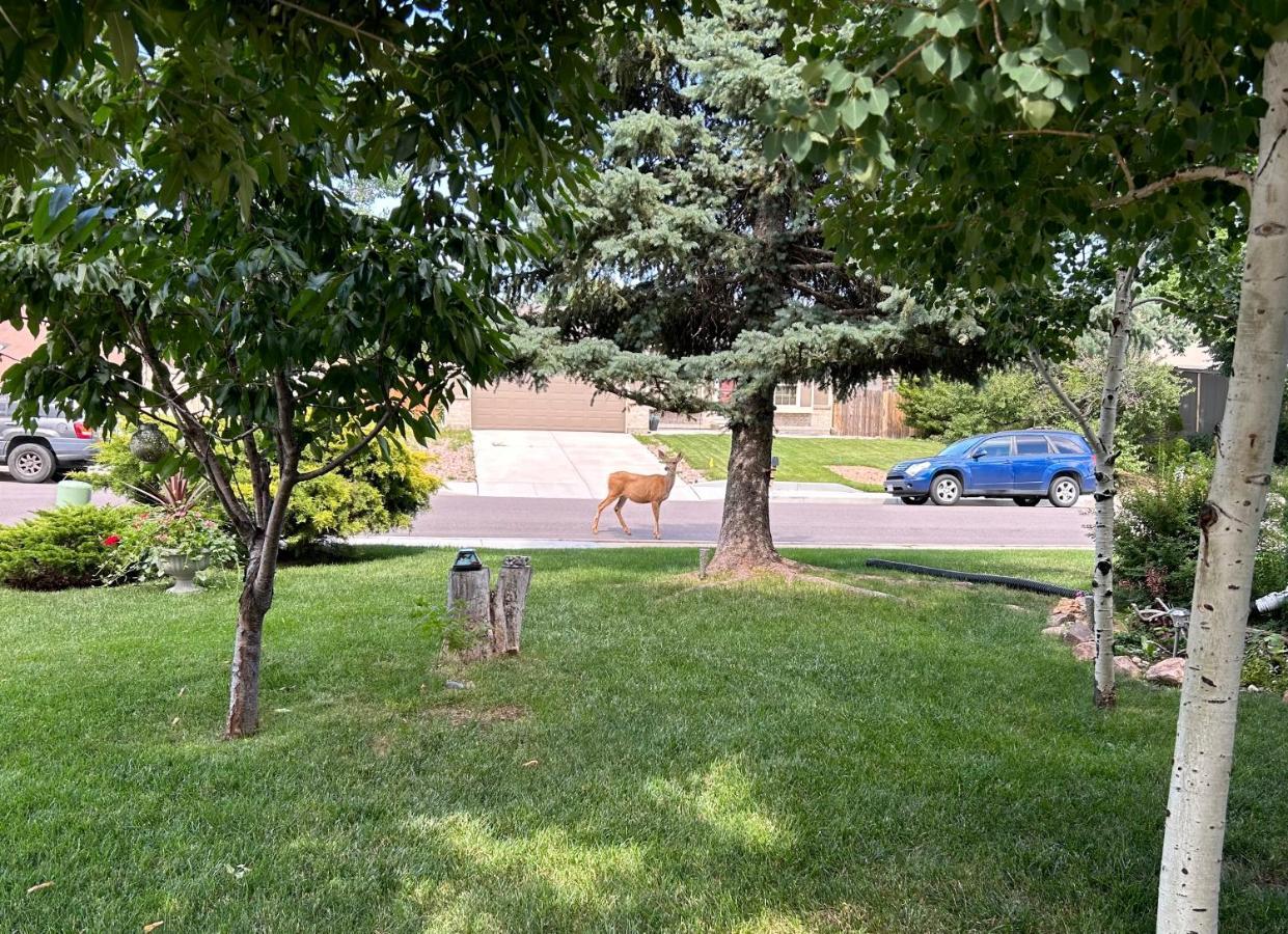 A Colorado Room With A View - King Colorado Springs Bagian luar foto